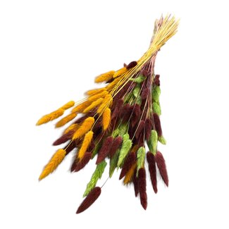 Casa Alegria Lagurus Hazenstaartje Boeket “Autumn Mix” | Kleur: Gemengde Kleuren | Lengte ± 70 centimeter | Gewicht 100 gram | Per boeket