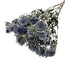 Eryngium Magnum Blue | Blue Natural | 70 cm | Per 5 stems