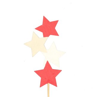 4A Kerst bijsteker 10cm Ster x4 6*10cm