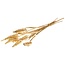 Goldfarbene Cane Cone Palmspiralen | Länge ± 65 Zentimeter | Pro 10 Zweige