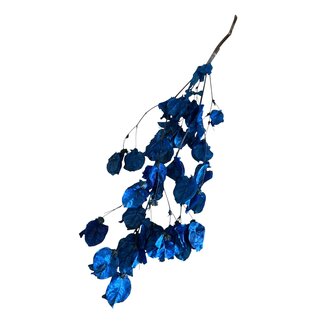 Dutch Dried Bougainvillea | Blue | 45 cm | Per branch