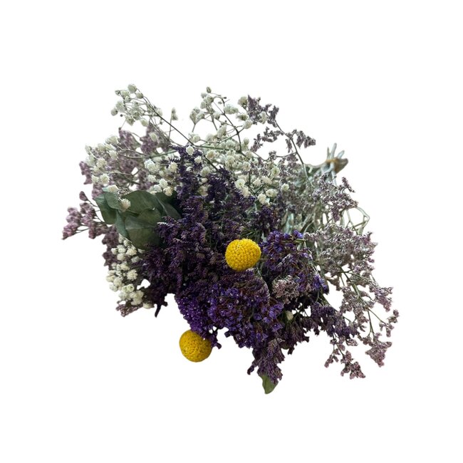 BQT Lilac Dream | 50 cm