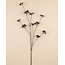Branche de baies Fleur artificielle | Couleur: Zwart | Longueur ± 110 centimeter | Par stuk