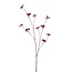 Branche de baies Fleur artificielle | Couleur: Rouge | Longueur ± 110 centimètre | Par pièce