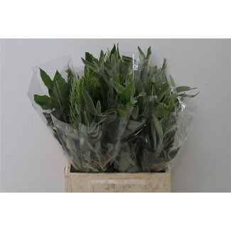Freshy Boeket Kruiden Mix 200gr (p. bos)