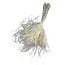 Stypa Pennata Excellent | Natural | 50 gr | 50 cm