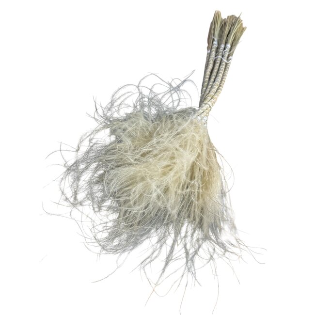 Stypa Pennata Excellent | Natural | 50 gr | 50 cm