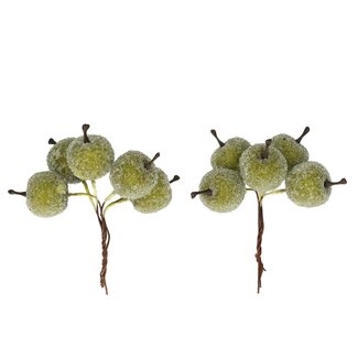 4A Herfst Appel frosted/draad 2.5cm x20