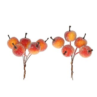 4A Herfst Appel frosted/draad 2.5cm x20