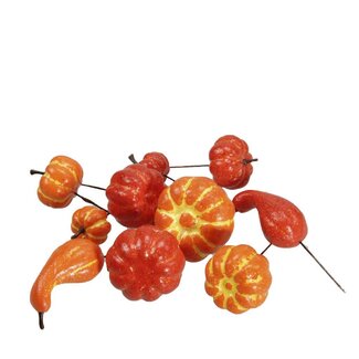 4A Herfst Pompoen/draad d4-5cm x24