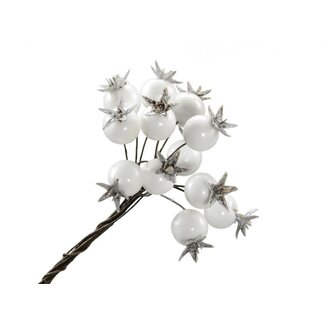 4A Herfst Bes/draad d1.8cm x72