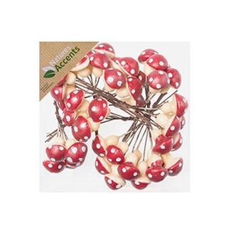4A Herfst Paddenstoel/draad d2cm x48