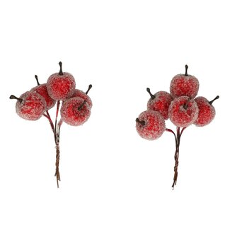 4A Herfst Appel frosted/draad 2.5cm x20