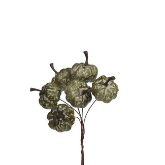 4A Herfst Deco pompoen/drd 20mm x36