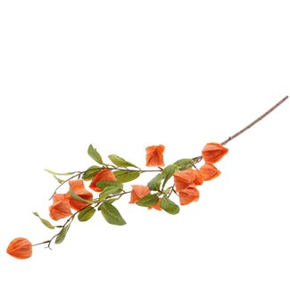 4A Kunstbloemen Physalis 94cm