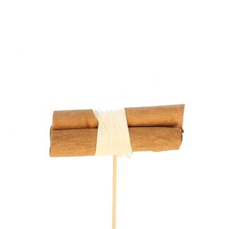 4A Bijsteker  9cm Kaneel x3 8cm