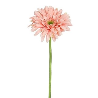 4A Kunstbloemen Gerbera 60cm