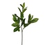 Kunstbloemen Laurier 58cm