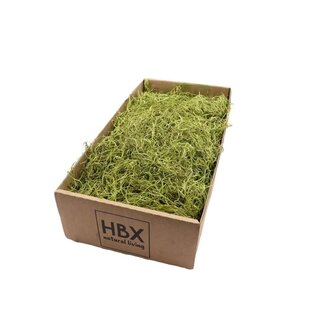 4A Droogdeco Tillandsia mos 350g