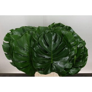 Freshy Monstera Blad 30cm