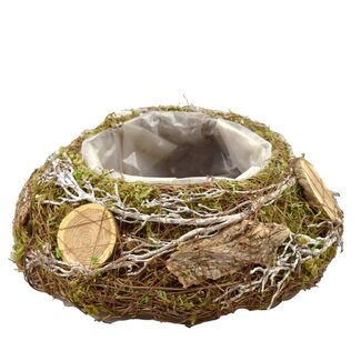 4A Jardinière naturelle Pot de fleurs ronde | Couleur : Marron Vert naturel | Diamètre 25 centimètres | Hauteur 9 centimètres | Par 2 jardinières