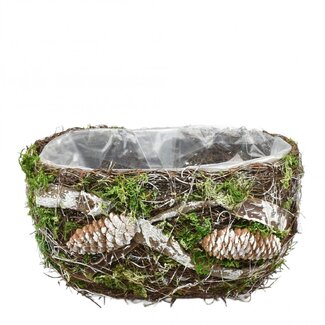 4A Salim Pot de fleurs jardinière allongée | Couleur : Marron | Longueur 24 centimètres | Largeur 15 centimètres | Hauteur 12 centimètres | Par 2 jardinières