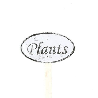 4A Pique-plante métallique | Couleur : Blanc naturel | Largeur 4 centimètres | Hauteur 8 centimètres | Longueur du pique-plante ± 20 centimètres | Par 20 piques