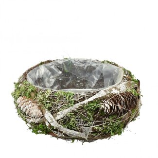 4A Salim Pot de fleurs Jardinière ronde | Couleur : Marron | Diamètre 25 centimètres | Hauteur 10 centimètres | Par 2 jardinières