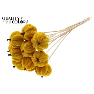 QC Velvet Pumpkin Ø6cm on stem Yellow