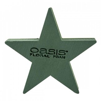 4A Oasis Bioline Étoile | Couleur : Vert | Longueur 30 centimètres | Largeur 30 centimètres | Hauteur 4.5 centimètres | Par 2 étoiles