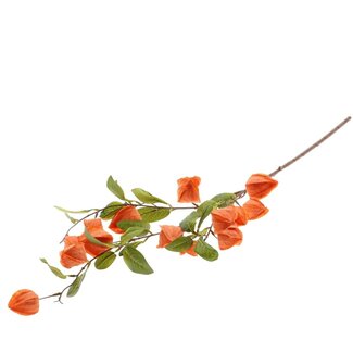 4A Physalis-Kunstblume | Farbe: Orange | Lampionpflanzen-Kunstblumen | Länge ± 94 Zentimeter | Pro 6 Kunstblumen