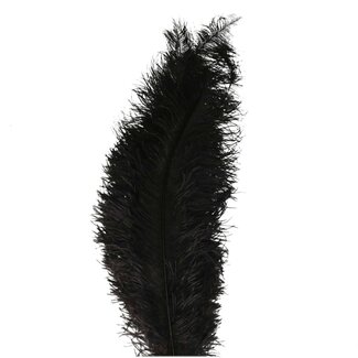 4A Plumes d'autruche | Couleur : Noir | Longueur 55 centimeter | Par 5 plumes