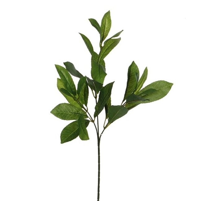 Lorbeer-Kunstblume | Farbe: Grün | Länge ± 58 Zentimeter | Pro 12 Kunstblumen