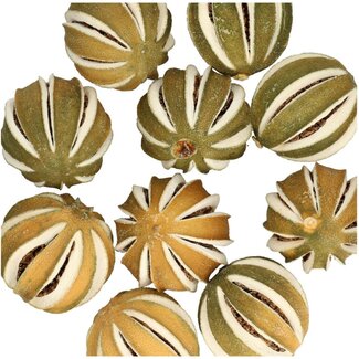 4A Trockenfrucht Orange | Farbe: Grün | Durchmesser 4 Zentimeter | Gewicht 250 Gramm pro Beutel | Pro 5 Beutel