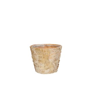 4A Birkenholz-Blumentopf-Eimerchen | Farbe: Hellbraun | Durchmesser 11 Zentimeter | Höhe 9 Zentimeter | Pro 10 Blumentöpfe