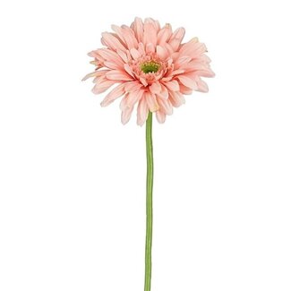 4A Gerbera Kunstblume | Farbe: Hellrosa | Länge ± 60 Zentimeter | Pro 24 Kunstblumen