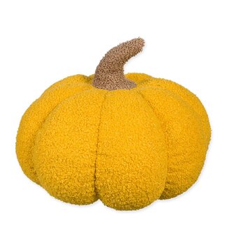4A Teddy-Kürbis | Farbe: Gelb | Durchmesser 35 Zentimeter | Pro Kürbis