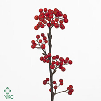 Freshy Sorbus Pink 50cm