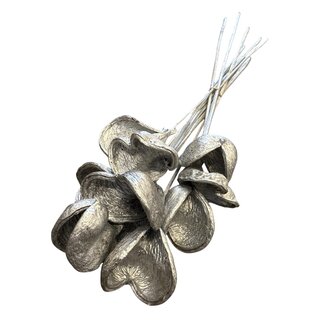 Casa Alegria Badam op steel | Kleur: Zilver | Lengte bijsteker ± 40 centimeter | Droogbloemen Bijstekers | Per 10 bijstekers