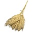 Miscanthus séché | Couleur : naturelle | Fleurs séchées de Miscanthus | Longueur ± 70 centimètres | 10 tiges par botte | Par botte