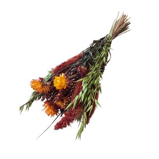MyFlowers Bouquet de fleurs séchées « Skylar » | Longueur ± 50 centimètres | Poids 125 grammes | avec des fleurs séchées orange et jaunes | Par bouquet