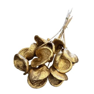 Casa Alegria Badam | Gold | 40 cm | Per 10 stems