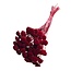 Botao on stem | Colour: Red | Pick length ± 55 centimetres | Dried Flower Picks | Weight 150 grams | Per bunch