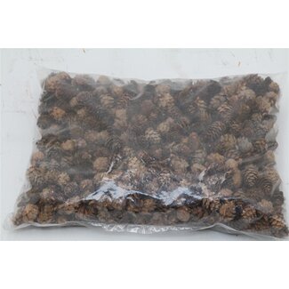 Freshy Dennenappel Mini 1kg