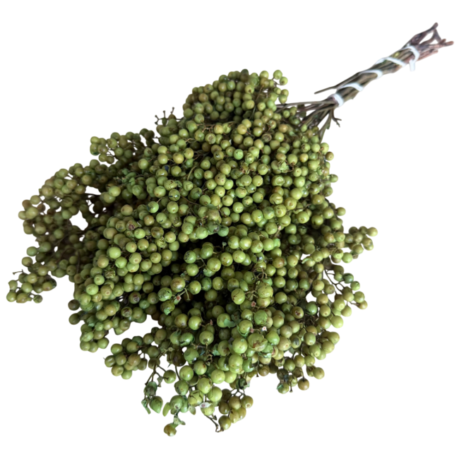 Mint Green Schinus - Pepper Berries Dried Decoration | Length ± 35 centimetres | Weight ± 150 grams
