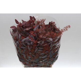 Freshy Eucalyptus Populus Bes Abs Red (p. bos)