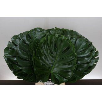 Freshy Monstera Blad 30cm