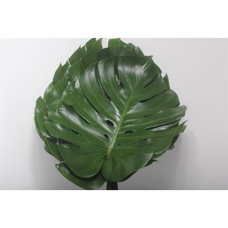 Freshy Monstera Blad 45cm