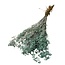 Preserved Baby's Breath | Colour: Blue | Gypsophila Dried Flowers | Length ± 65 centimeter | Weight 100 gram | Per bunch