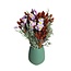 BQT Autumn Special Edition | 55 cm | 250 gr | 125 stems